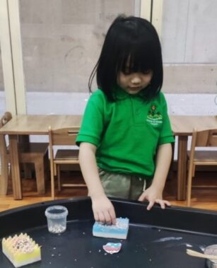 Arabic Language -Inclusion